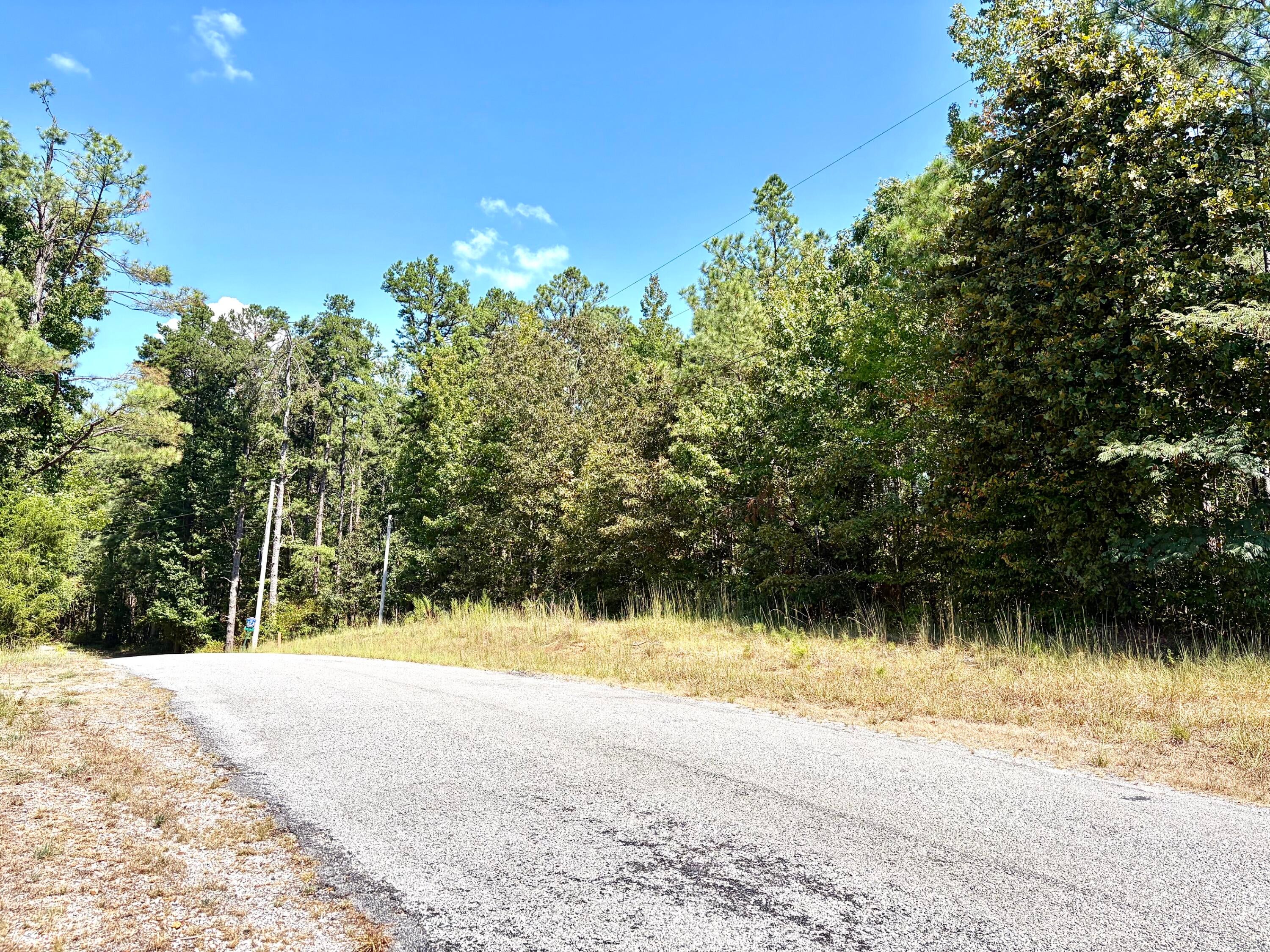 343 Co Road Glen, MS 38846 - Photo 3 of 4 Gallery Image 3