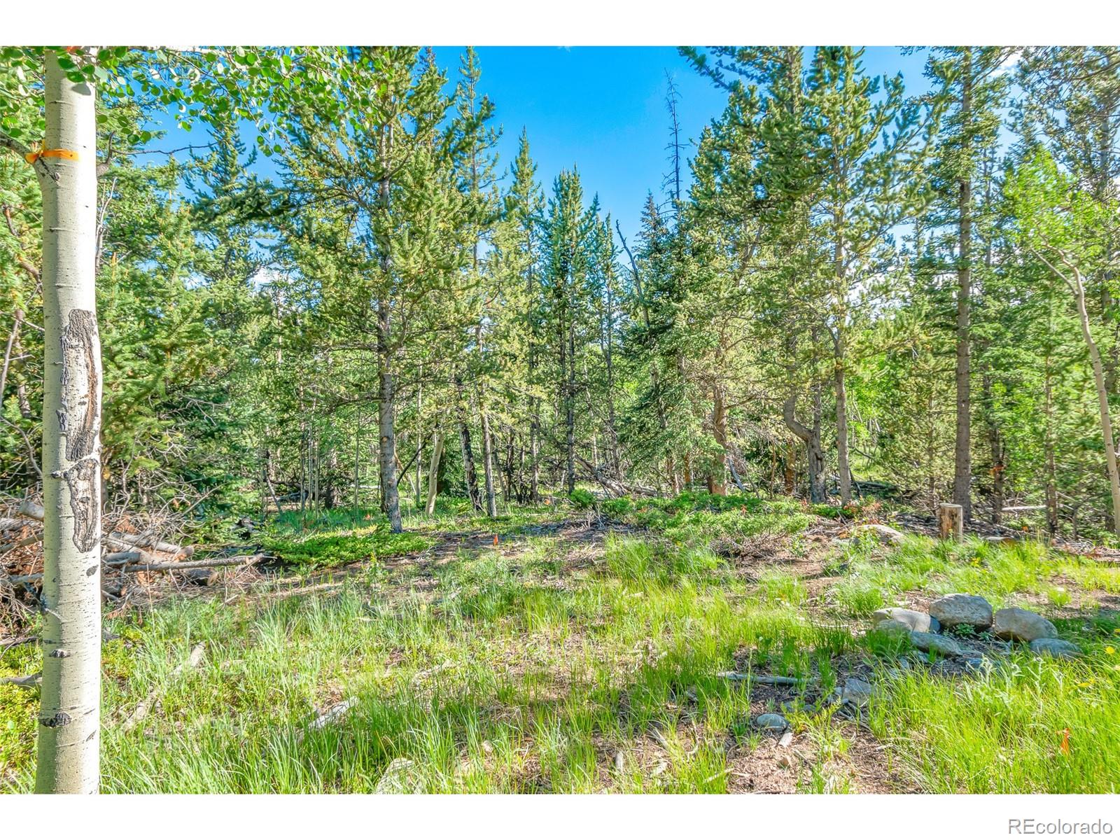 545 Adventure Road Alma, CO 80420 - Photo 3 of 20 Gallery Image 3
