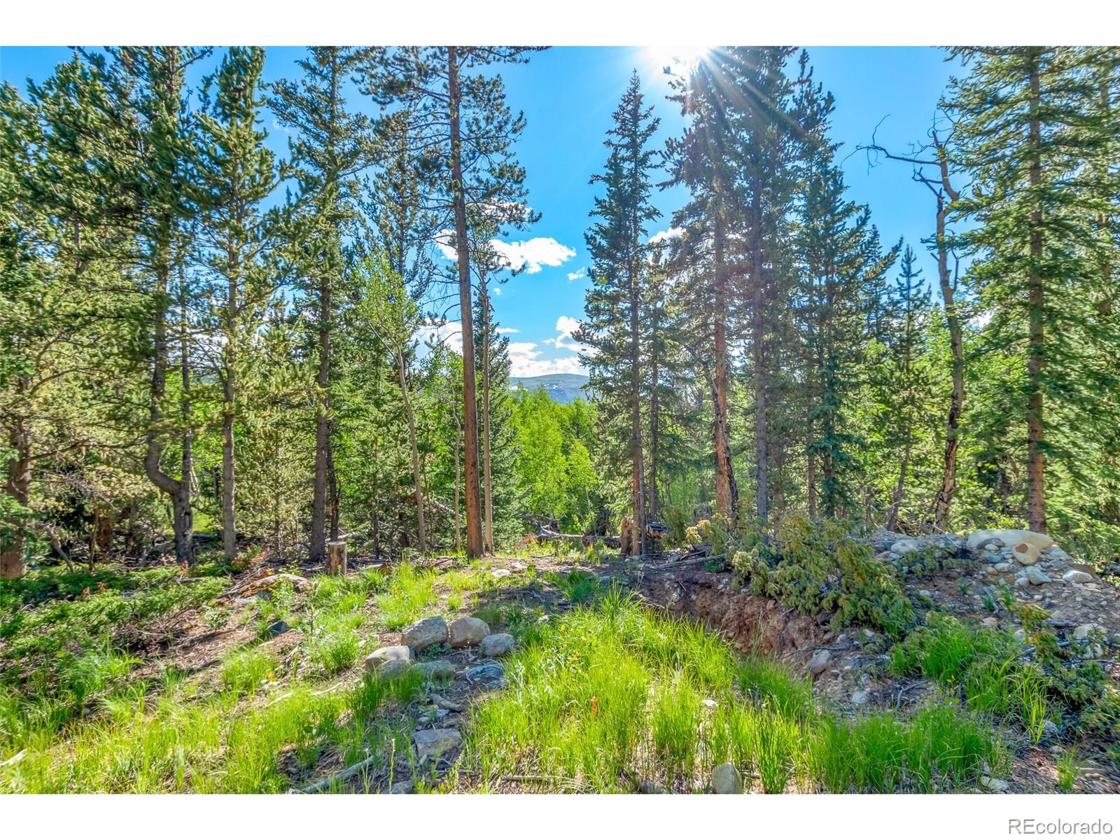 545 Adventure Road Alma, CO 80420 - Photo 4 of 20 Gallery Image 4