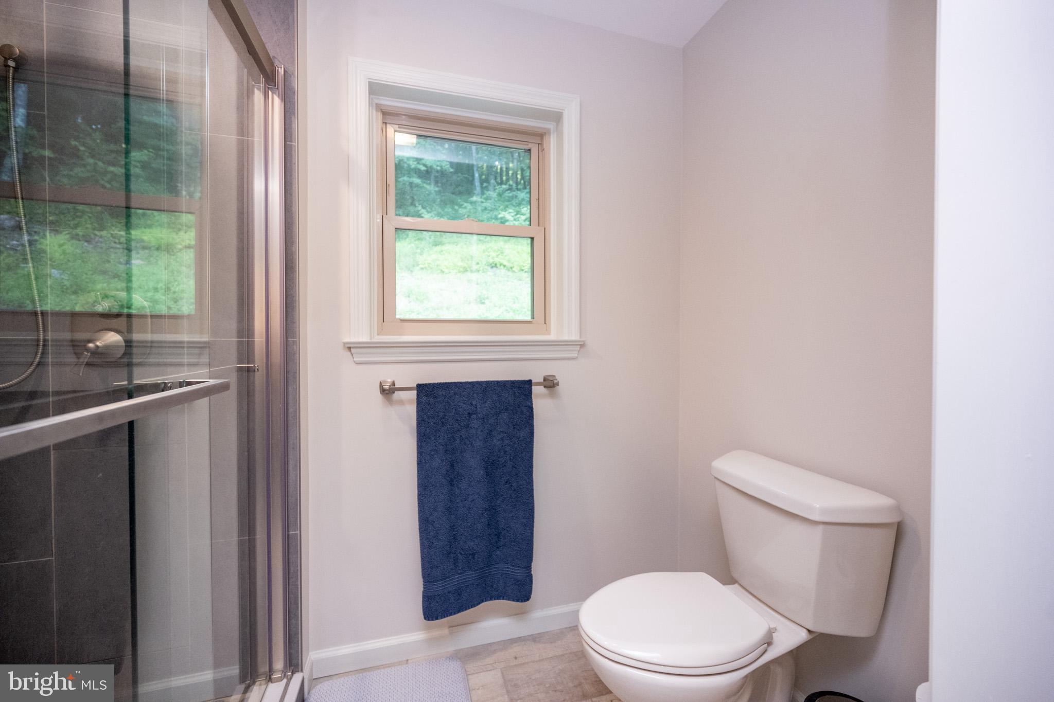 1488 Marsh Hill Road McHenry, MD 21541 - Photo 28 of 64 a white toilet sitting next to a bathroom sink