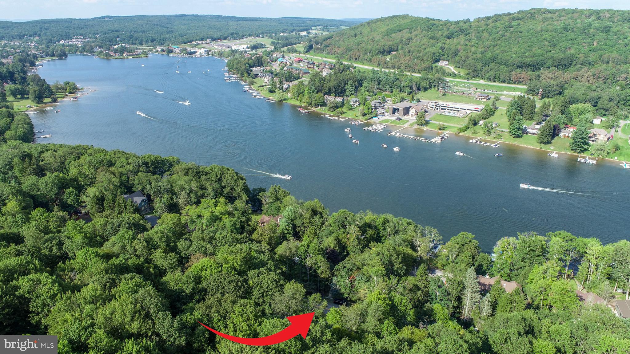 1488 Marsh Hill Road McHenry, MD 21541 - Photo 5 of 64 an aerial view of a houses with yard