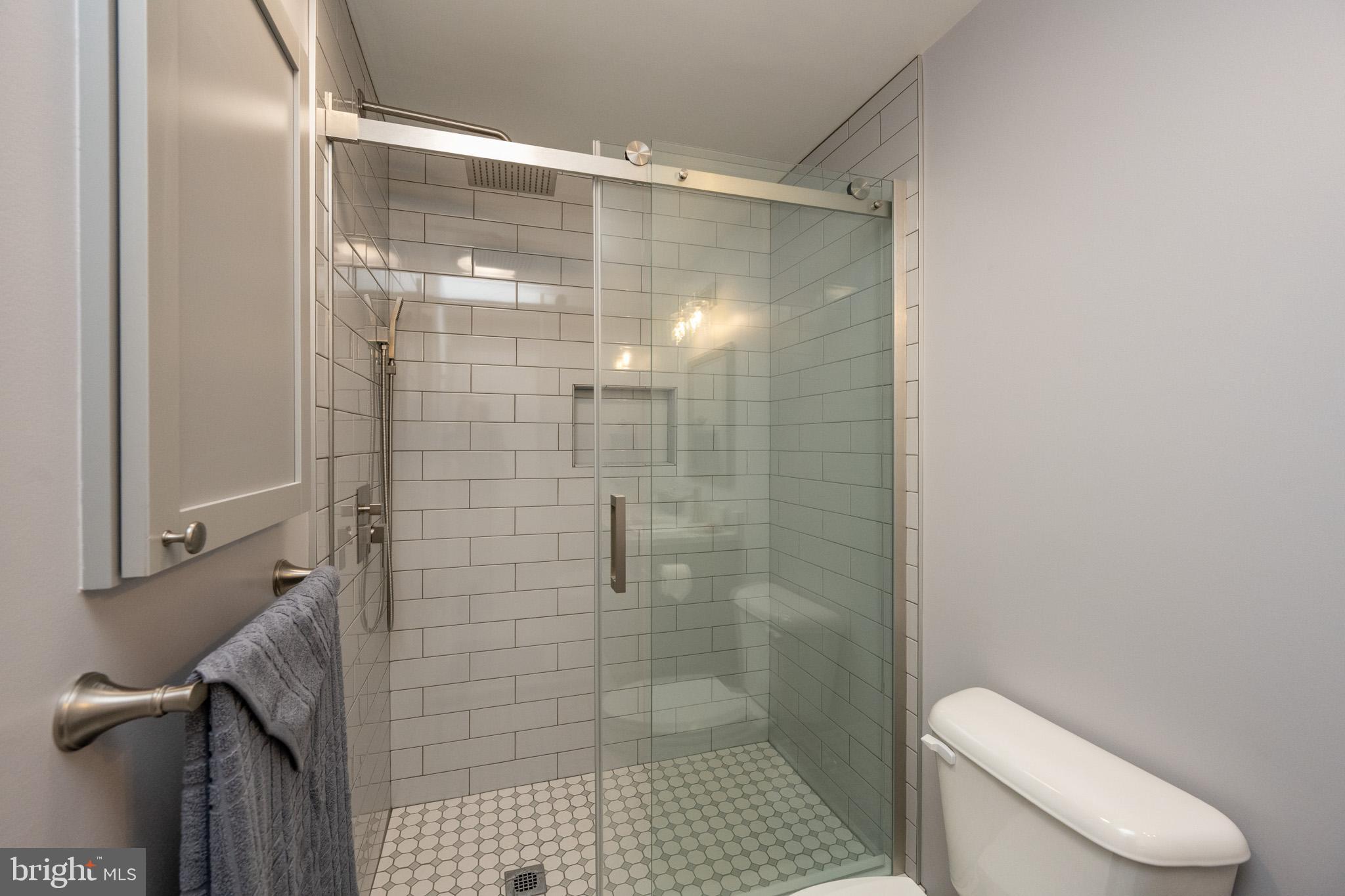 1488 Marsh Hill Road McHenry, MD 21541 - Photo 51 of 64 a bathroom with a shower and toilet