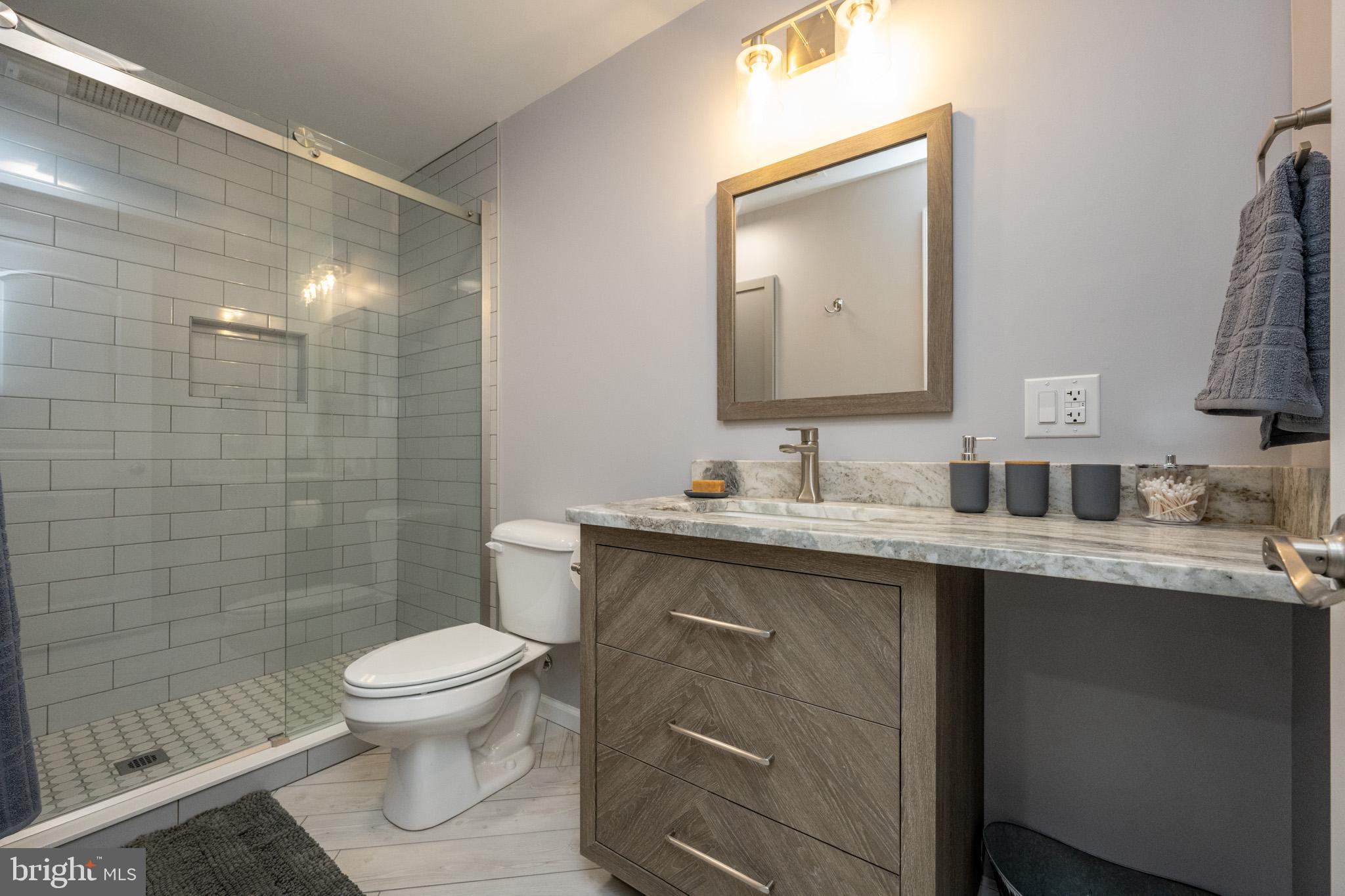 1488 Marsh Hill Road McHenry, MD 21541 - Photo 53 of 64 a bathroom with a sink toilet and shower