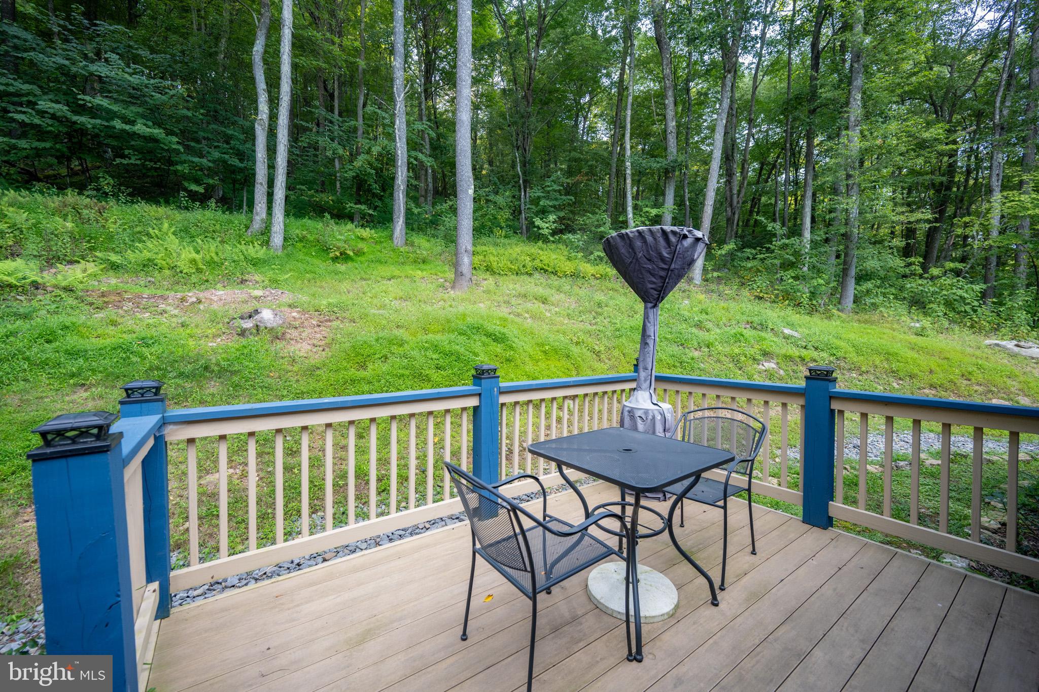 1488 Marsh Hill Road McHenry, MD 21541 - Photo 56 of 64