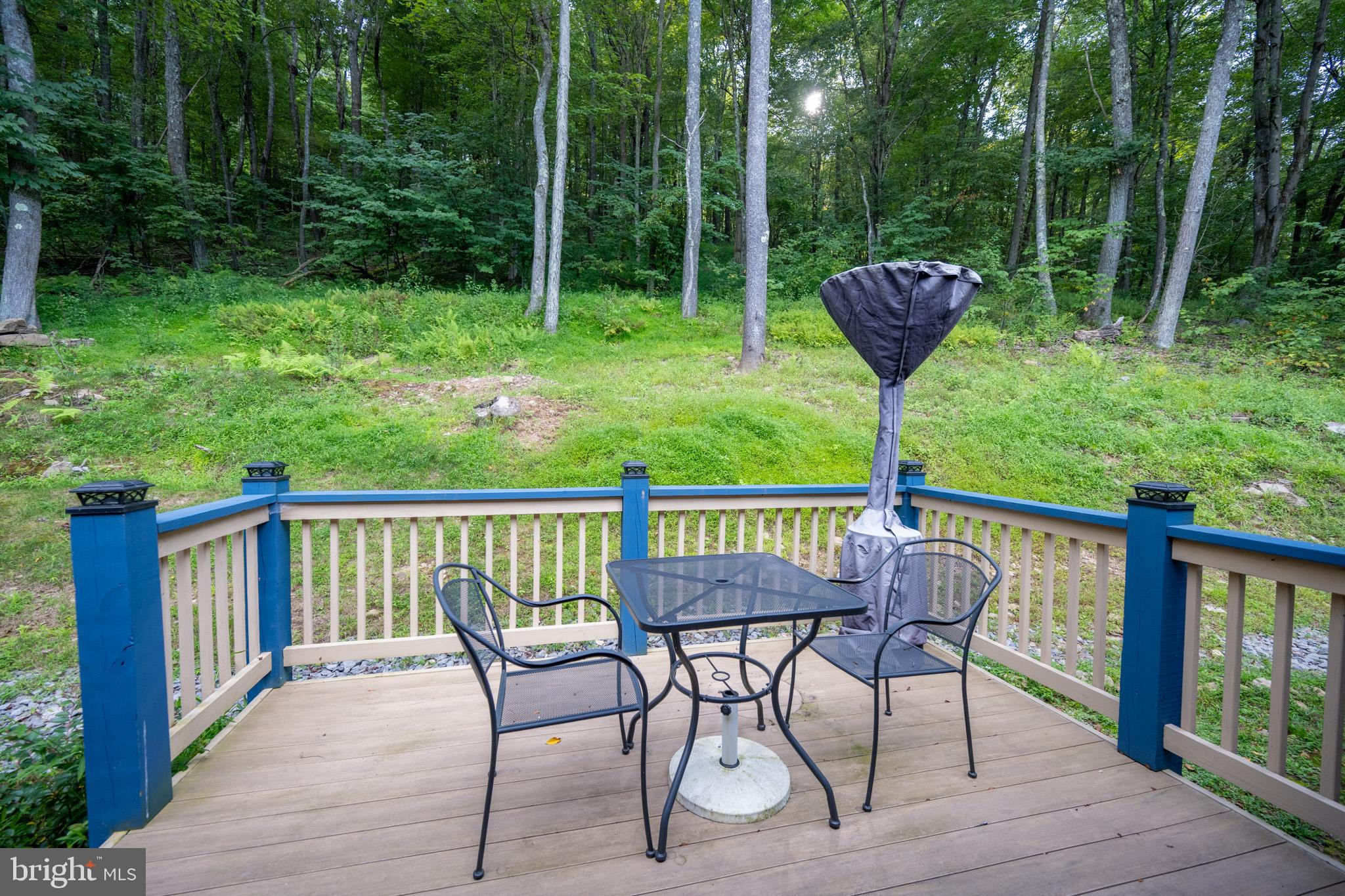 1488 Marsh Hill Road McHenry, MD 21541 - Photo 58 of 64 a view of balcony with furniture and garden