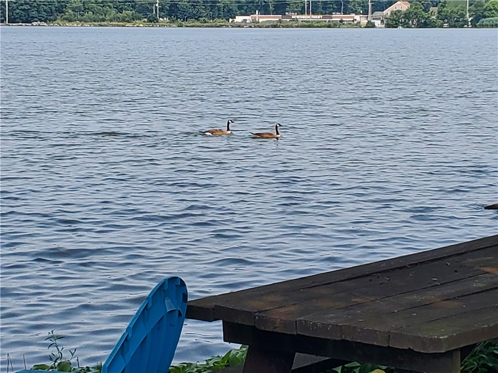 95 Mohawk Street Coventry, RI 02816 - Photo 29 of 42