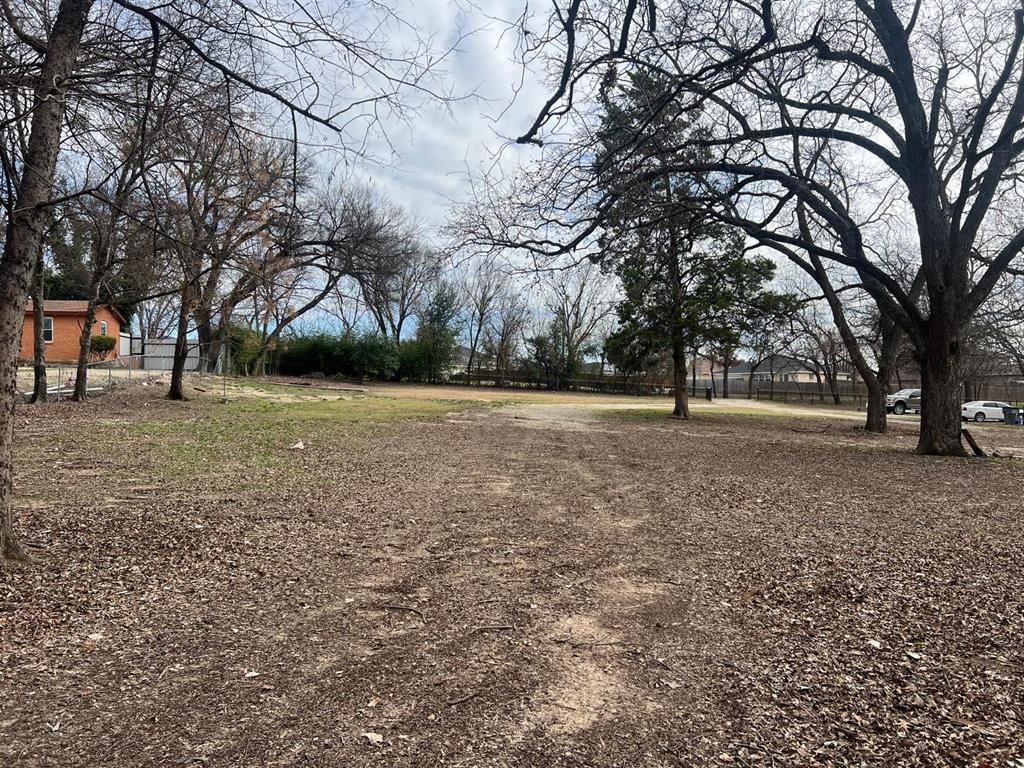 a view of three trees in a yard