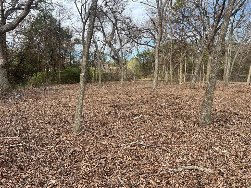 341 Chesier Road Lancaster, TX 75146 - Photo 4 of 10 a view of a yard with trees