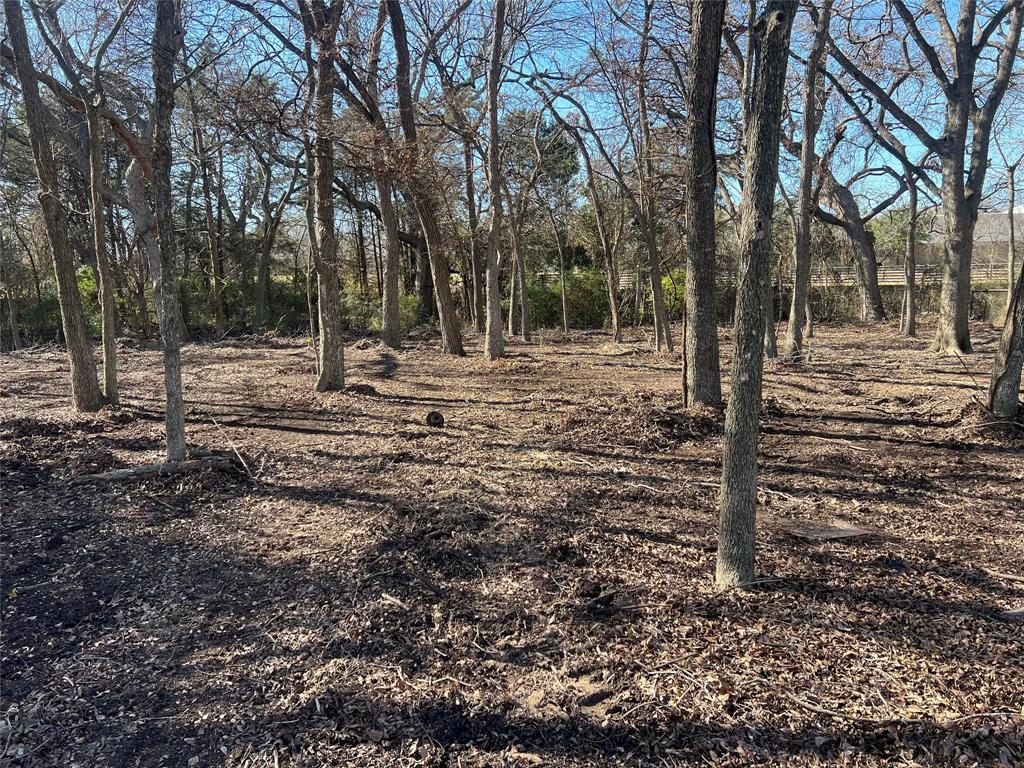 341 Chesier Road Lancaster, TX 75146 - Photo 8 of 10 a view of a yard with trees