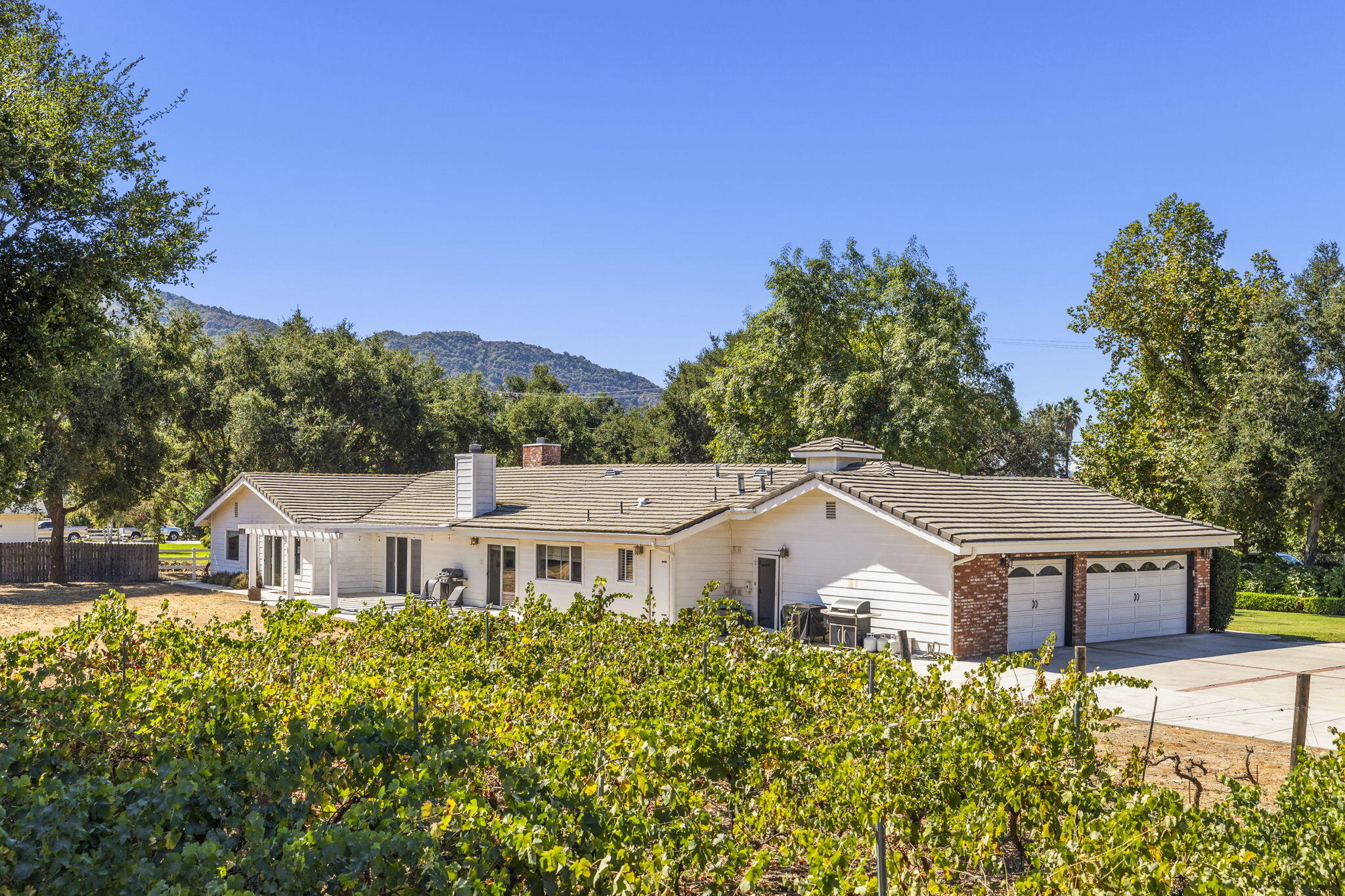 202 Boardman Road Ojai, CA 93023 - Photo 27 of 43 Vineyard