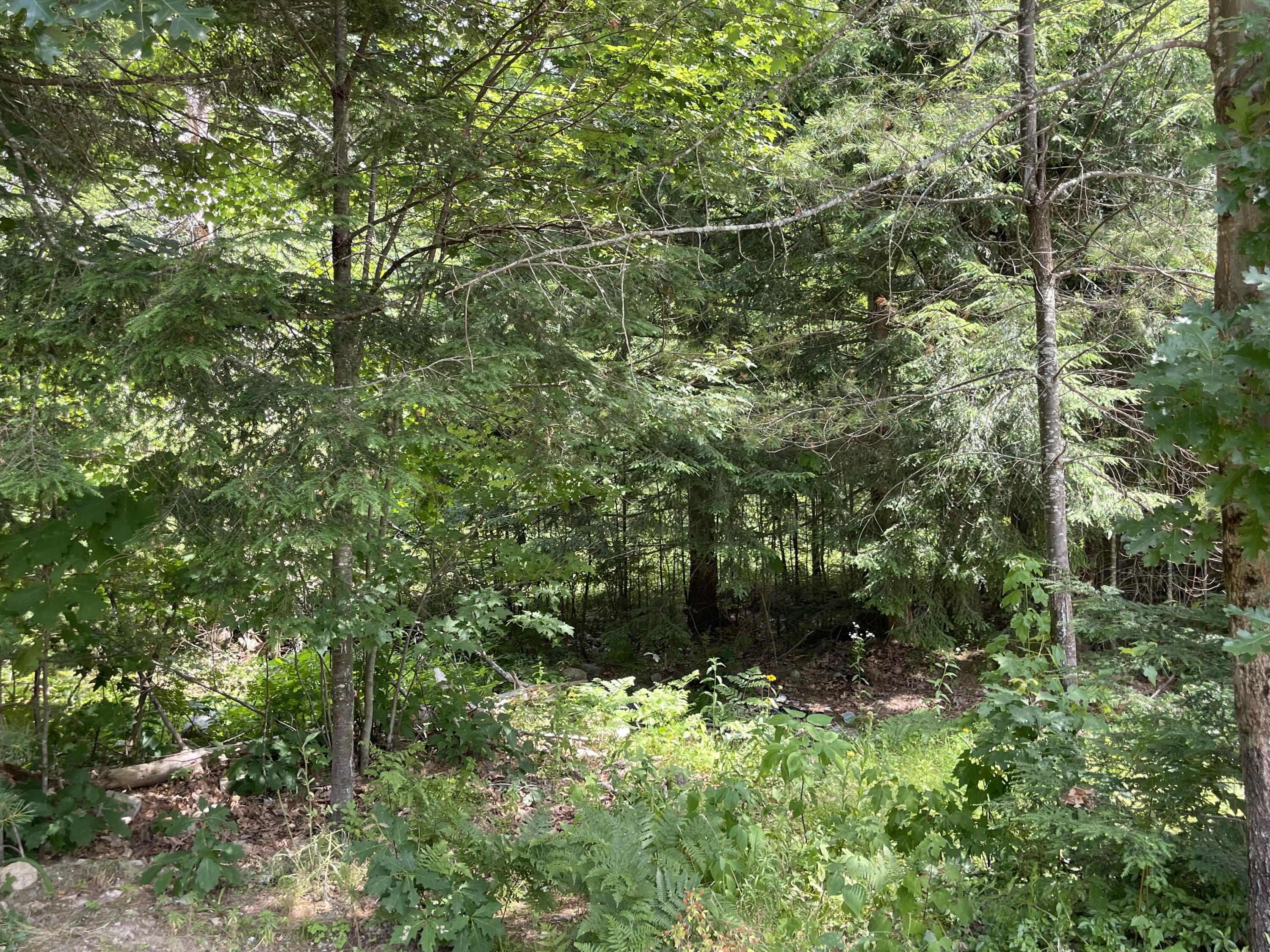 14 Hudsons Way Naples, ME 04055 - Photo 22 of 25 7ED2CD04-F528-4527-9228-0E20B6F666B6