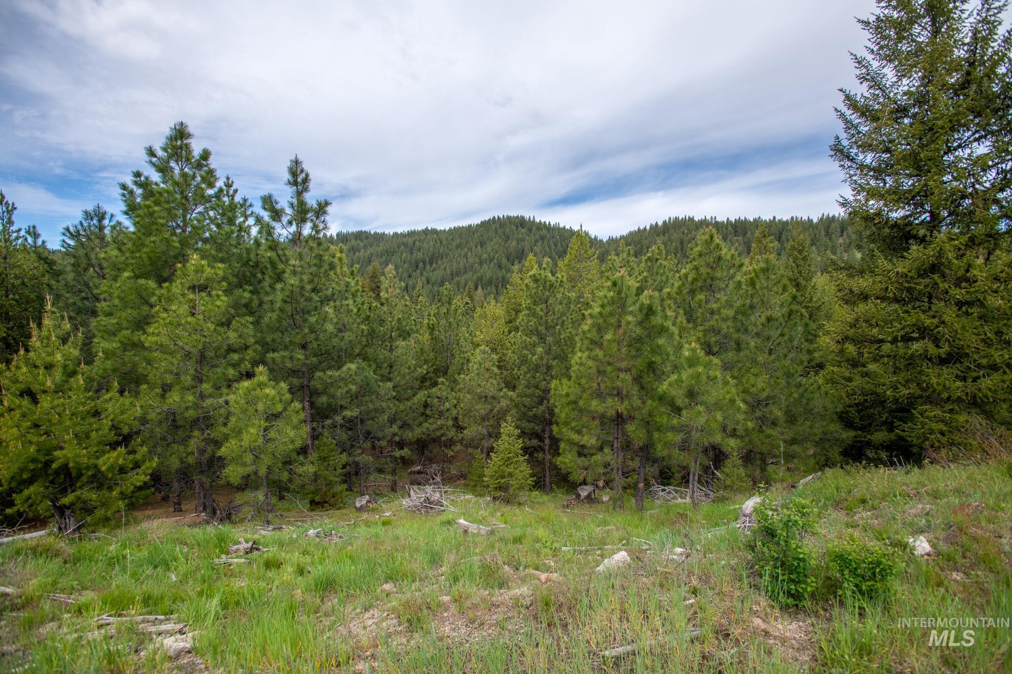 36 Clear Creek Road Cascade, ID 83611 - Photo 7 of 10