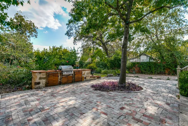 a view of a backyard with trees