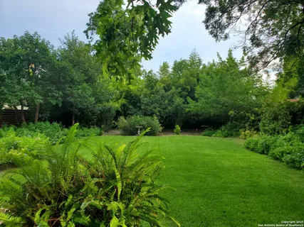 a view of a park with large trees