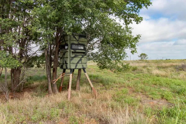 a view of a field of grass and trees