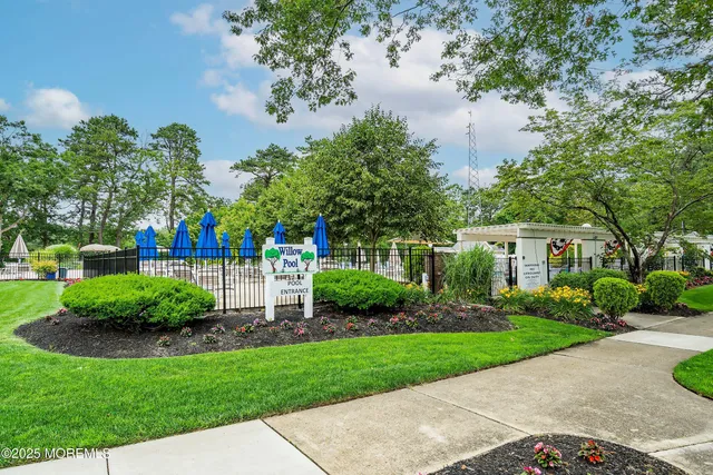 a view of a park with large trees