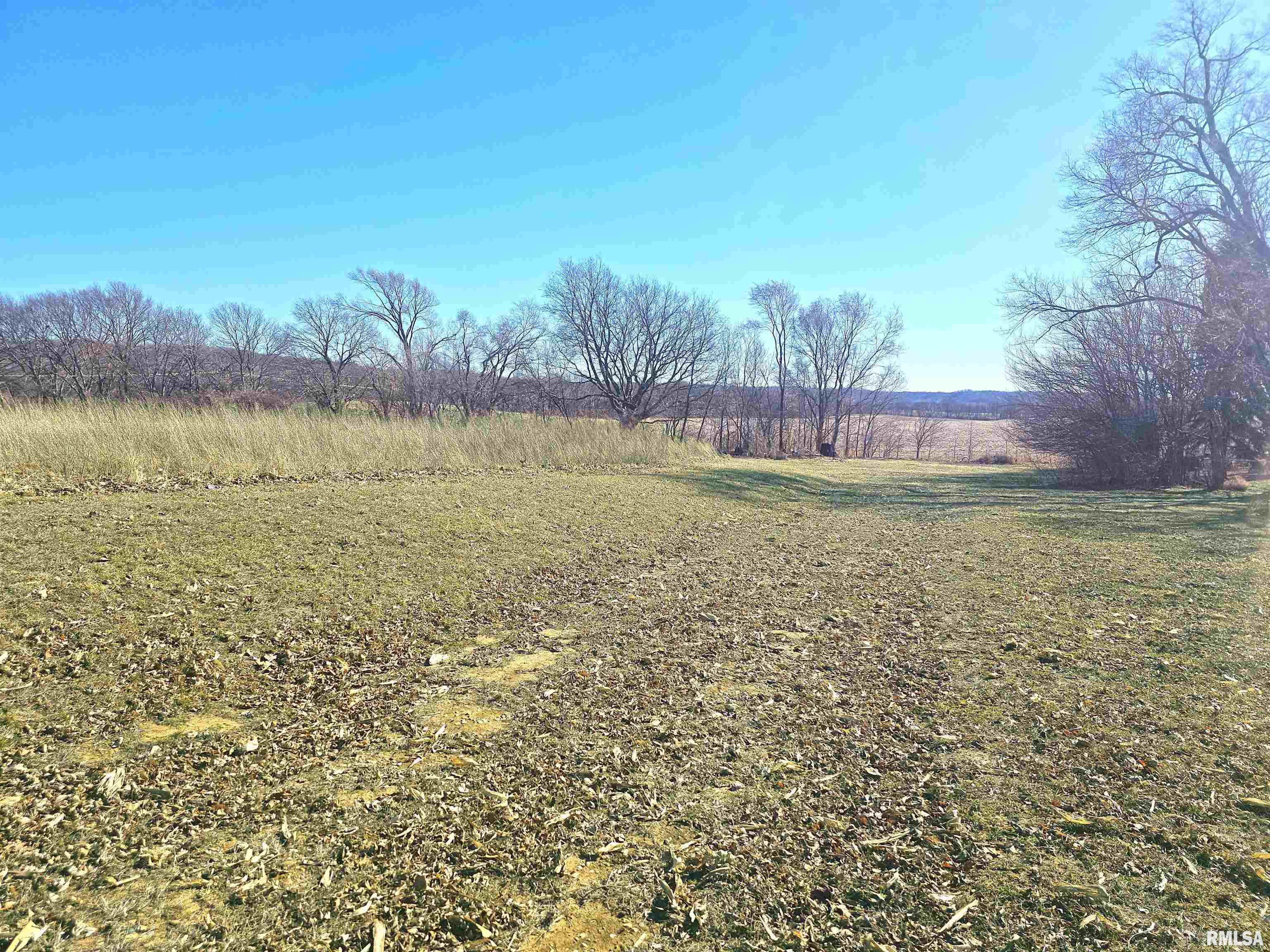 1206 Spring Bay Road East Peoria, IL 61611 - Photo 6 of 9