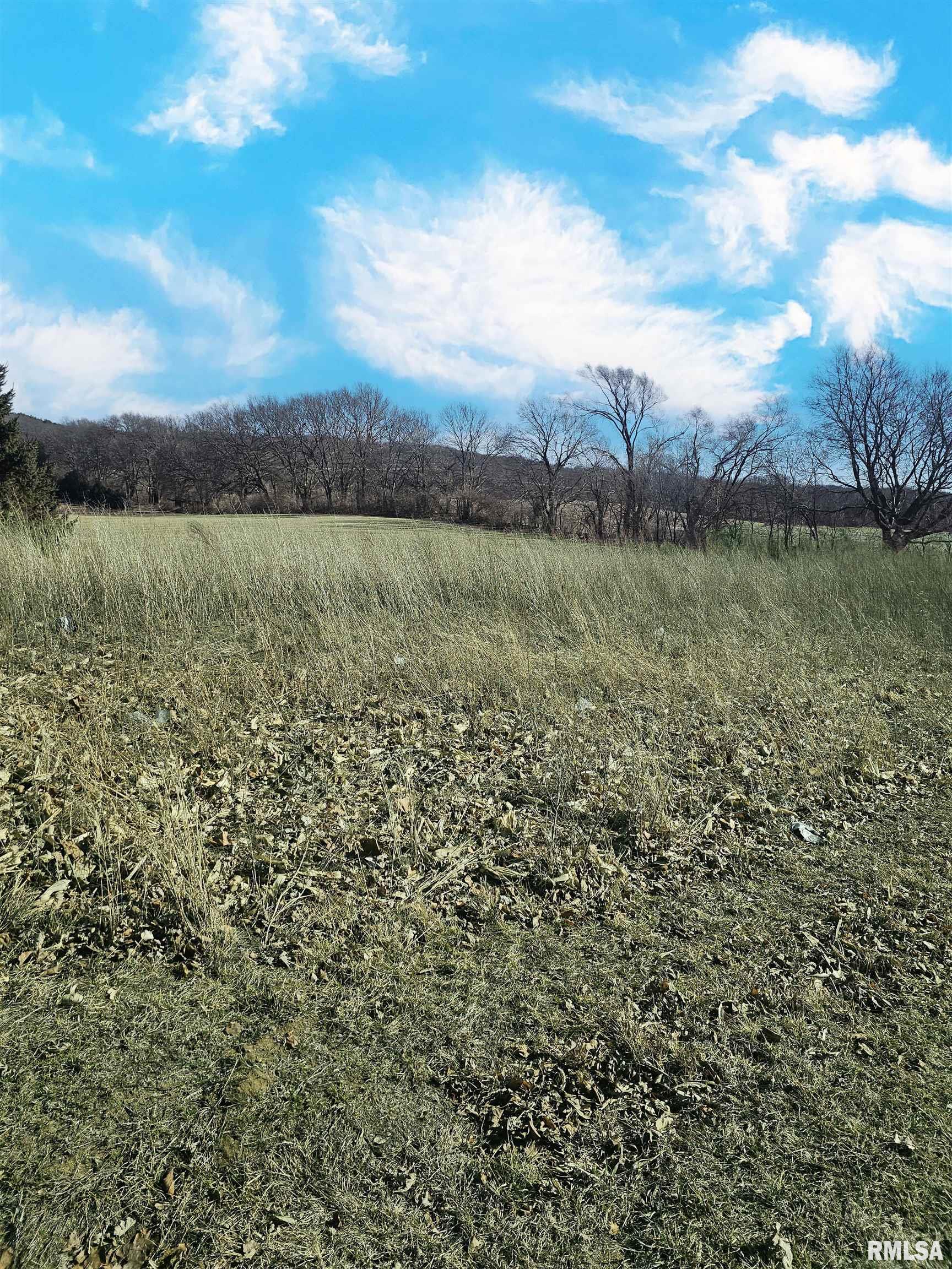 1206 Spring Bay Road East Peoria, IL 61611 - Photo 8 of 9