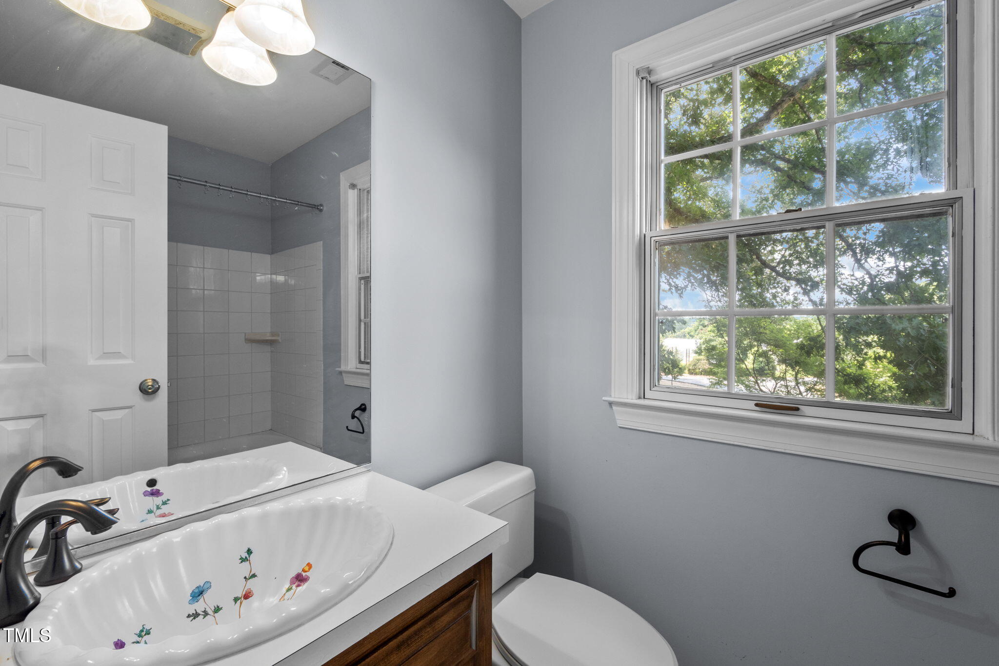 4811 New Sharon Church Road Hillsborough, NC 27278 - Photo 52 of 84 a bathroom with a sink a toilet and a tub