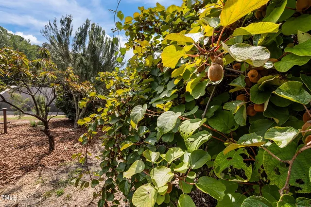 $1,700,000 | 4811 New Sharon Church Road, Hillsborough, NC 27278