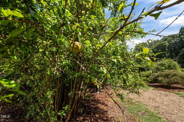 $1,700,000 | 4811 New Sharon Church Road, Hillsborough, NC 27278