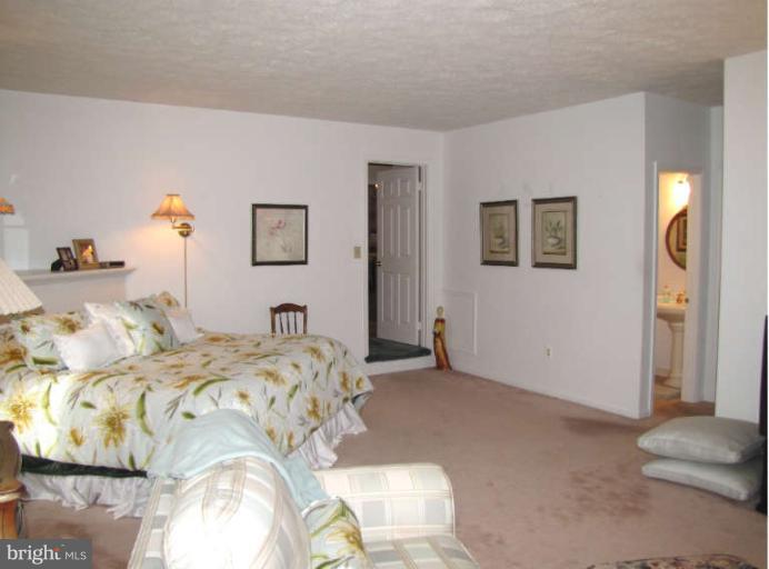 4840 Old Bartholows Road Mount Airy, MD 21771 - Photo 16 of 28 Bedroom (Master)