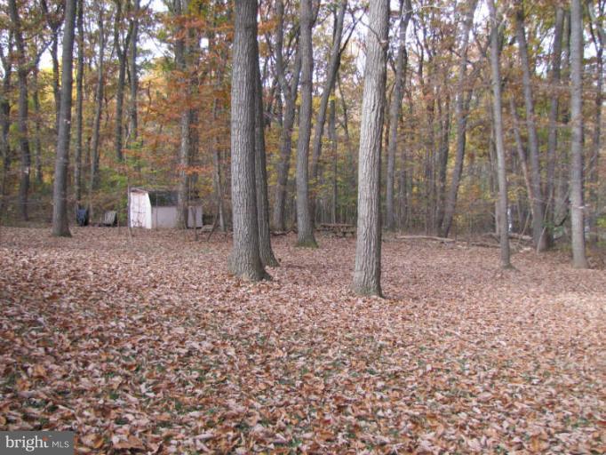 4840 Old Bartholows Road Mount Airy, MD 21771 - Photo 27 of 28 Exterior (General)
