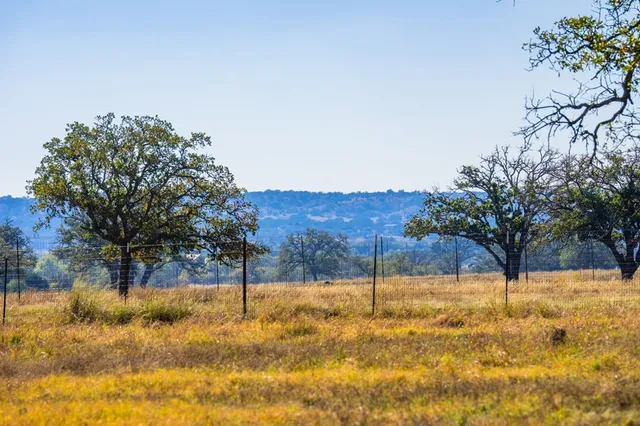 a view of yard with a slide