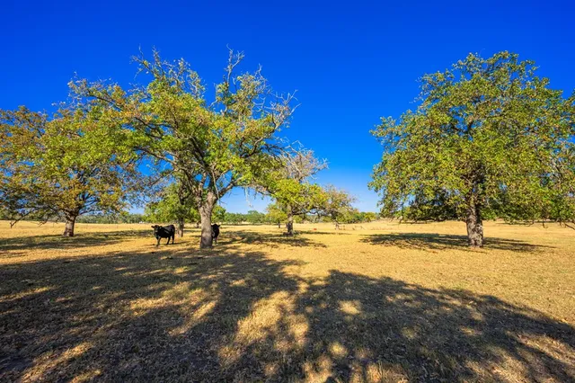 a view of an ocean and beach