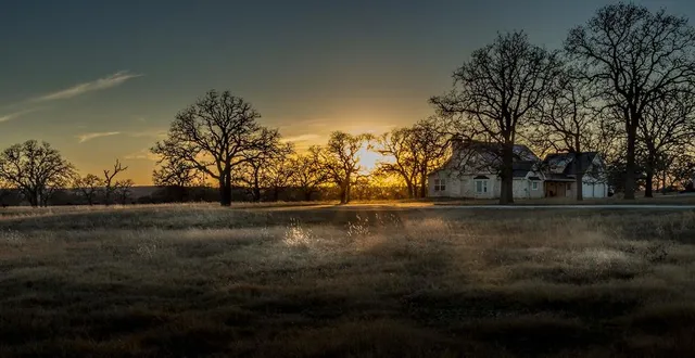 a view of yard with green space