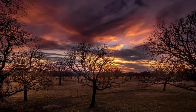 a view of a yard in a yard