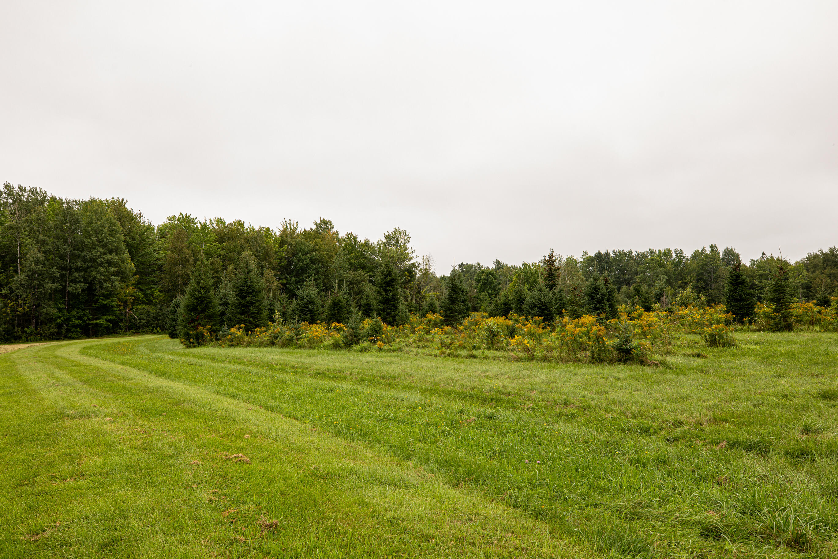 188 Canaan Road Pittsfield, ME 04967 - Photo 19 of 77 188CanaanRd_Pittsfield_Aug_2021-19
