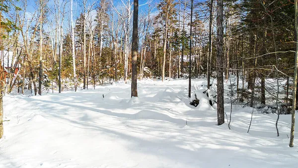 $90,000 | 2010 Pine Road, Kingfield, ME 04947
