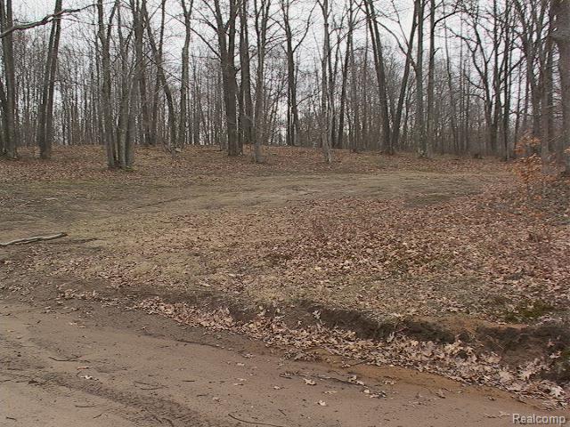 0 Eastman Road Rhodes, MI 48652 - Photo 16 of 16 Park Your Trailer Or RV Here