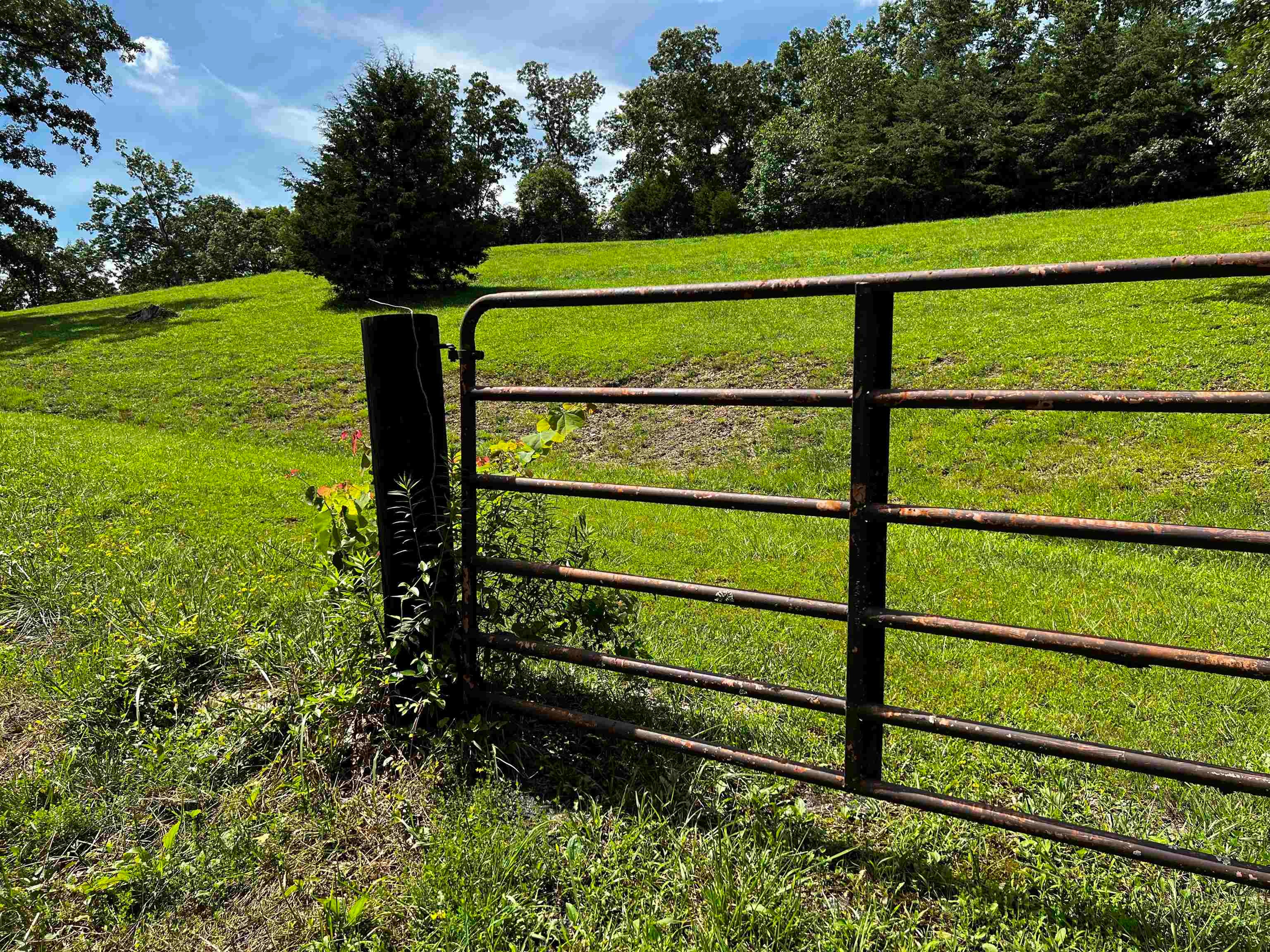 813 Doss Hill Road Fort Gay, WV 25514 - Photo 16 of 20 Gallery Image 16