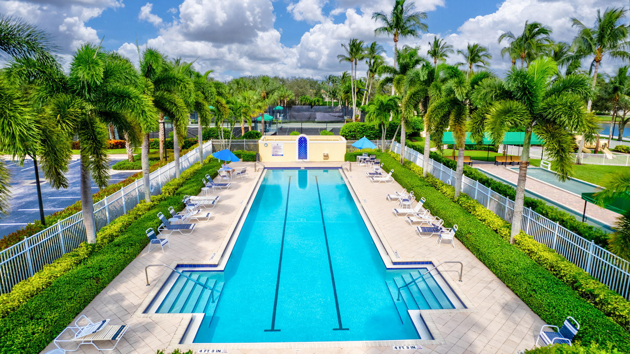 8356 Yorke Road Wellington, FL 33414 - Photo 56 of 74 Lap Pool