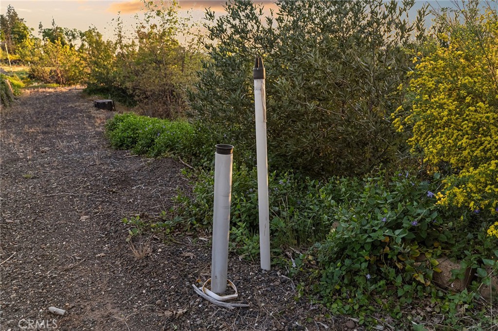 5399 Newland Road Paradise, CA 95969 - Photo 20 of 27 a view of a forest with trees