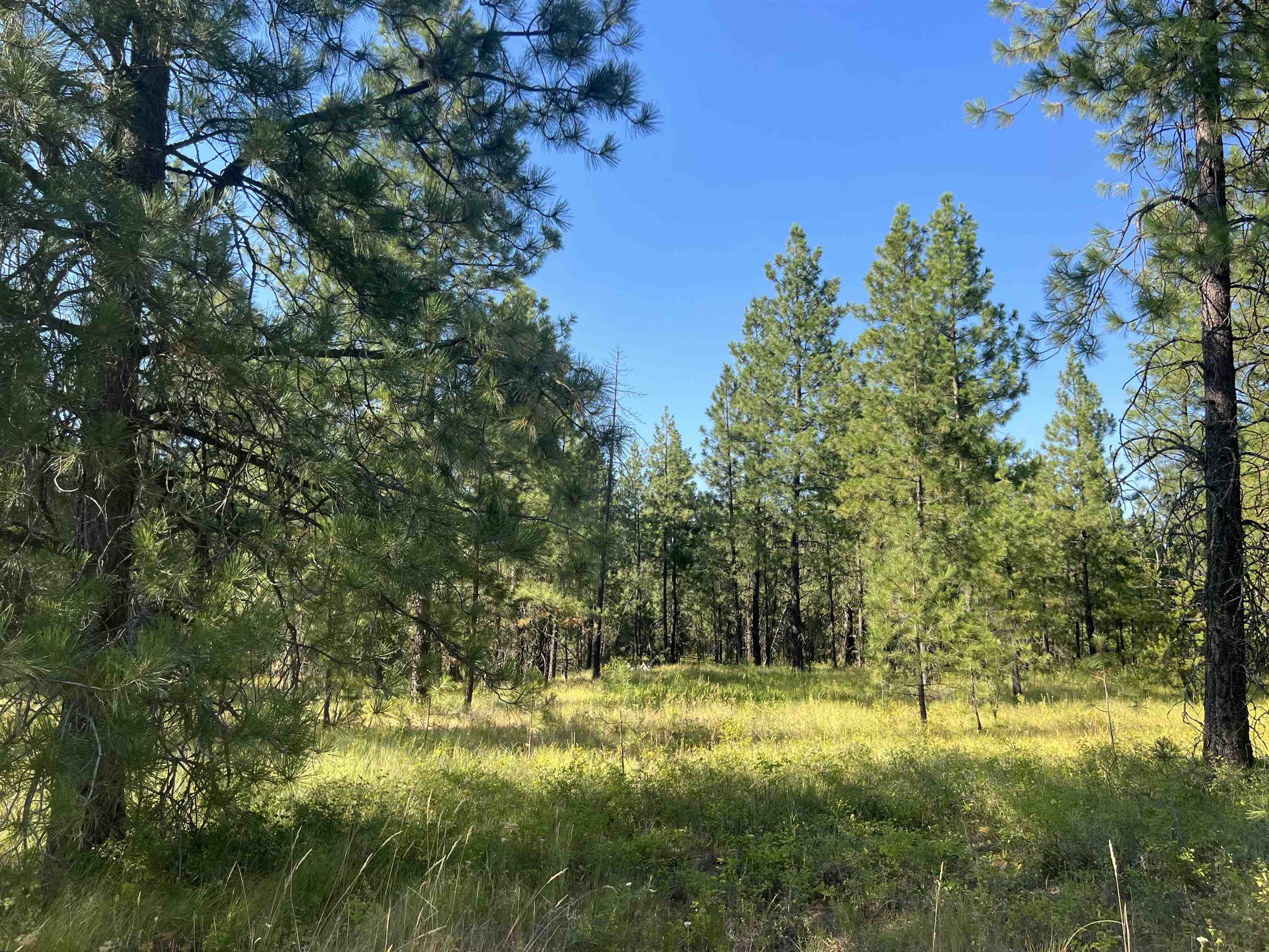 Nka West Findley Road Unit Lot 5