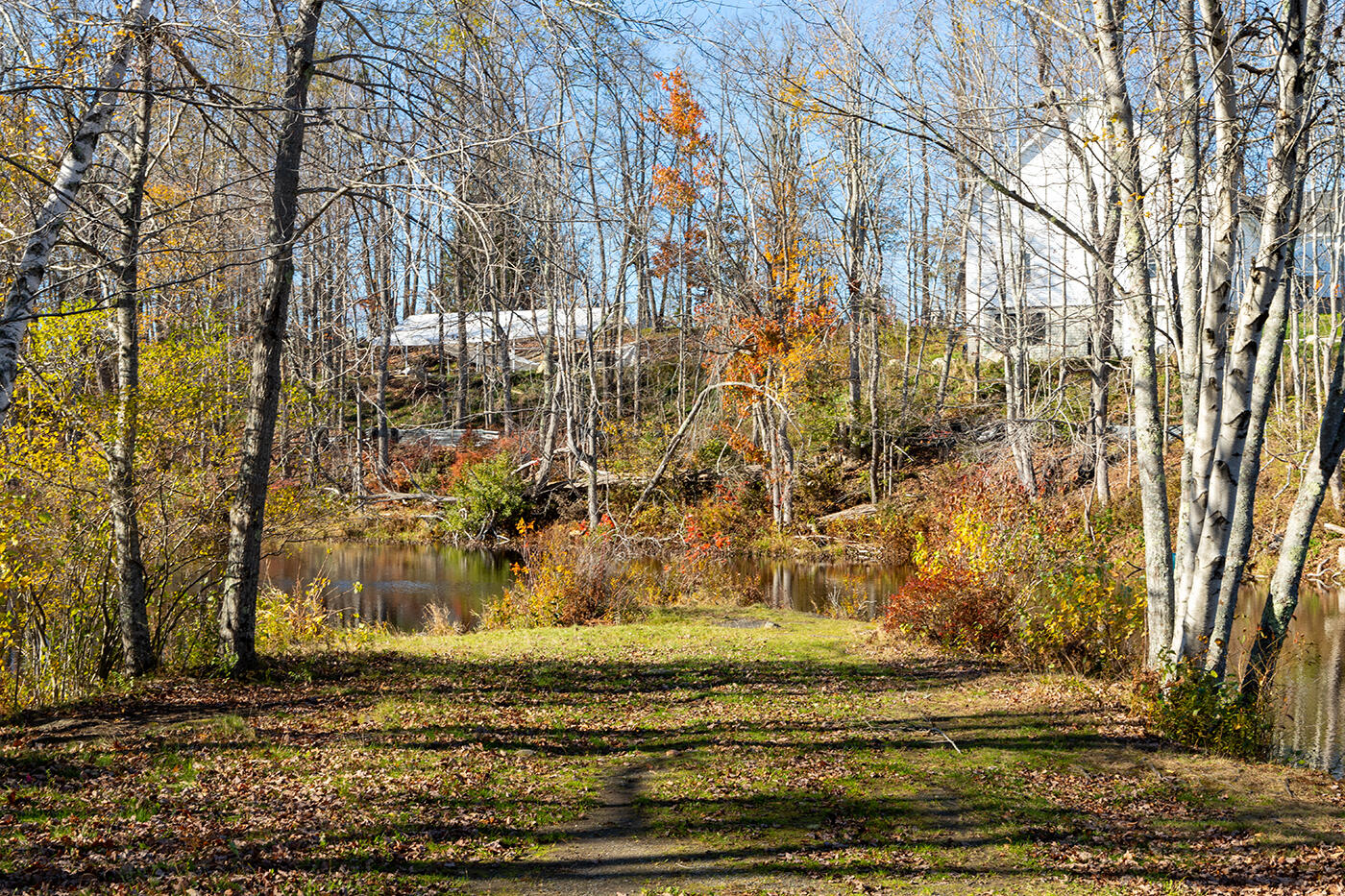Pond access by main road