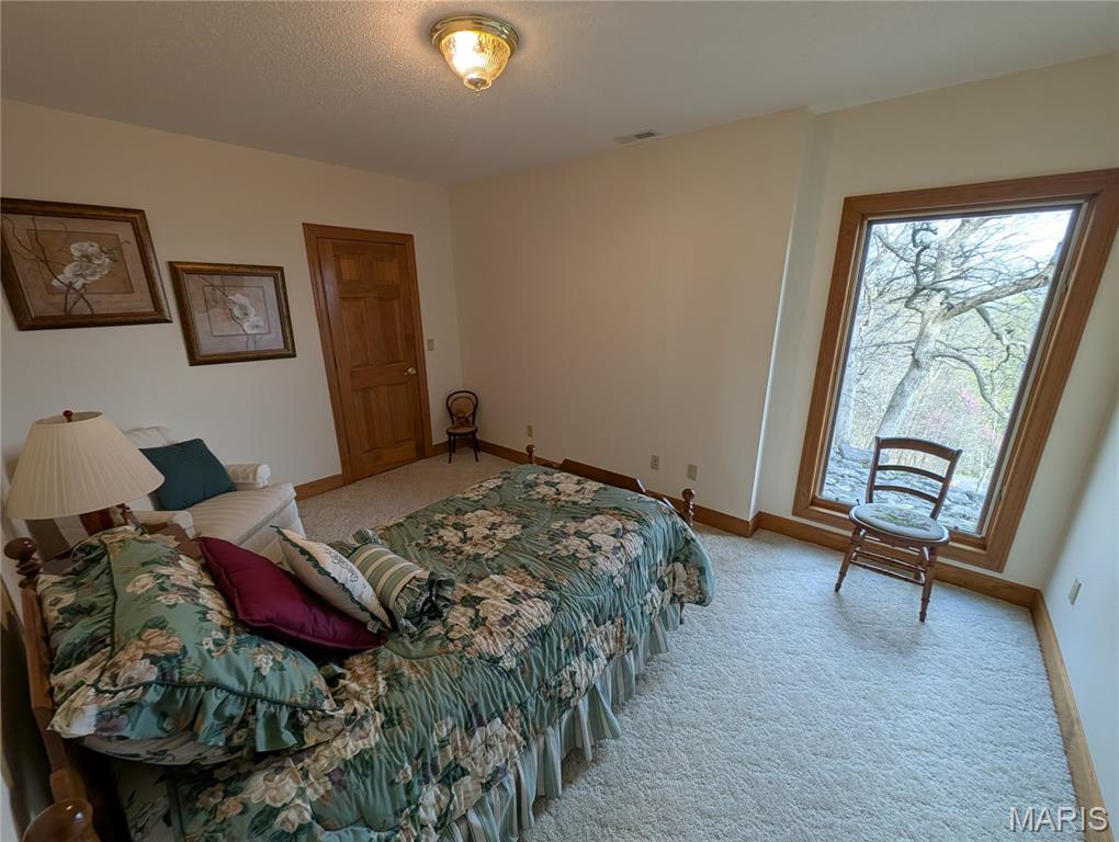 1 River Ridge Road Grafton, IL 62037 - Photo 37 of 63