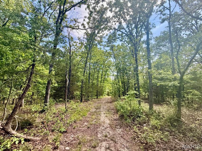 0 Bailey Road Licking, MO 65542 - Photo 18 of 33 Gallery Image 18