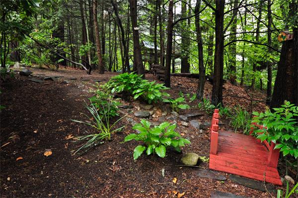 37 Oak Hill Road Wayland, MA 01778 - Photo 22 of 22 a garden view with a seating space