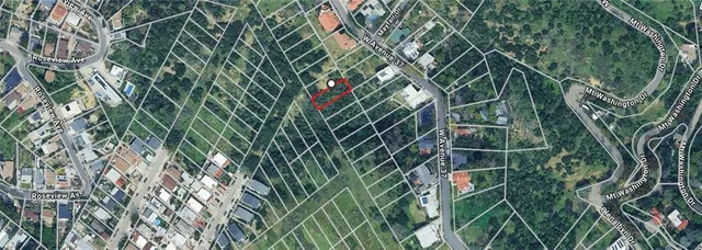 a backyard of a house with lots of green space and a large tree