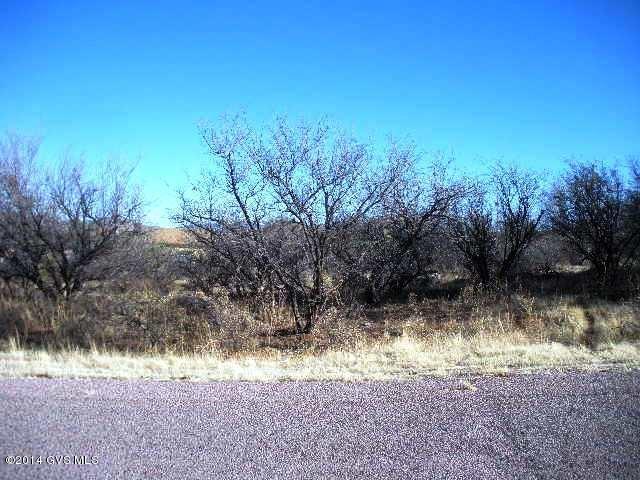 Tbd Calle Garcia Rio Rico, AZ 85648 - Photo 3 of 10