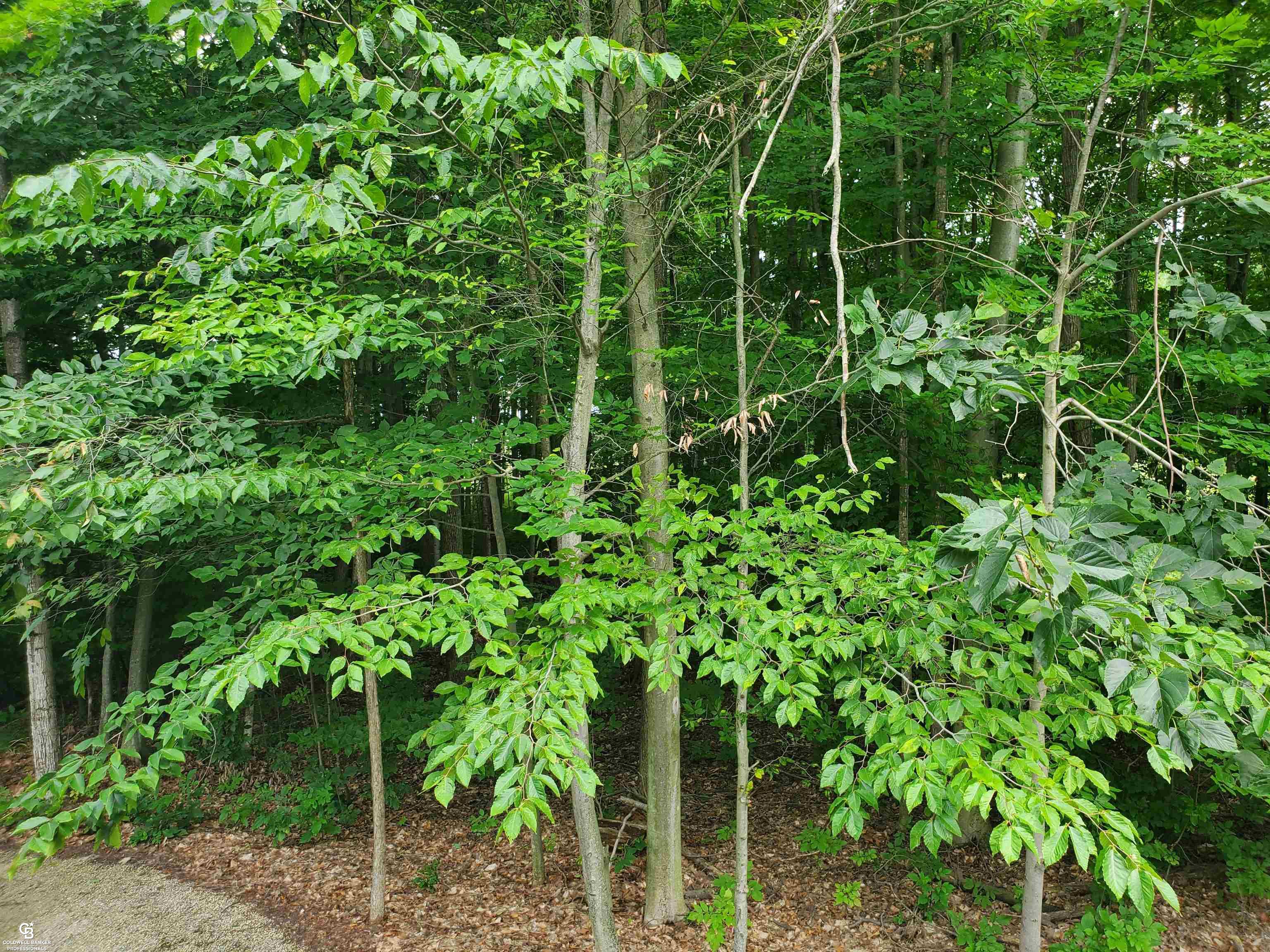 10041 Metcalf Road Avoca, MI 48006 - Photo 16 of 34 Gallery Image 16