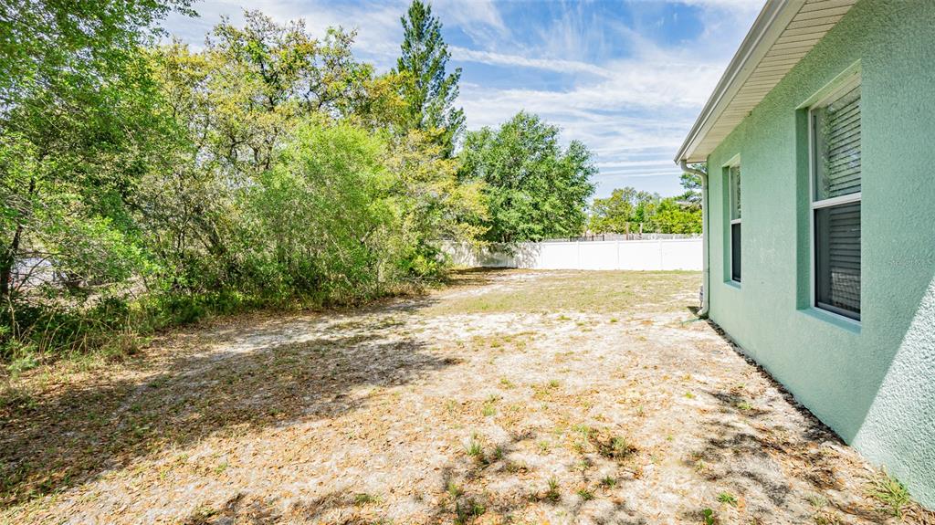 6283 Lorraine Lane Spring Hill, FL 34608 - Photo 25 of 27 a view of a yard with an trees