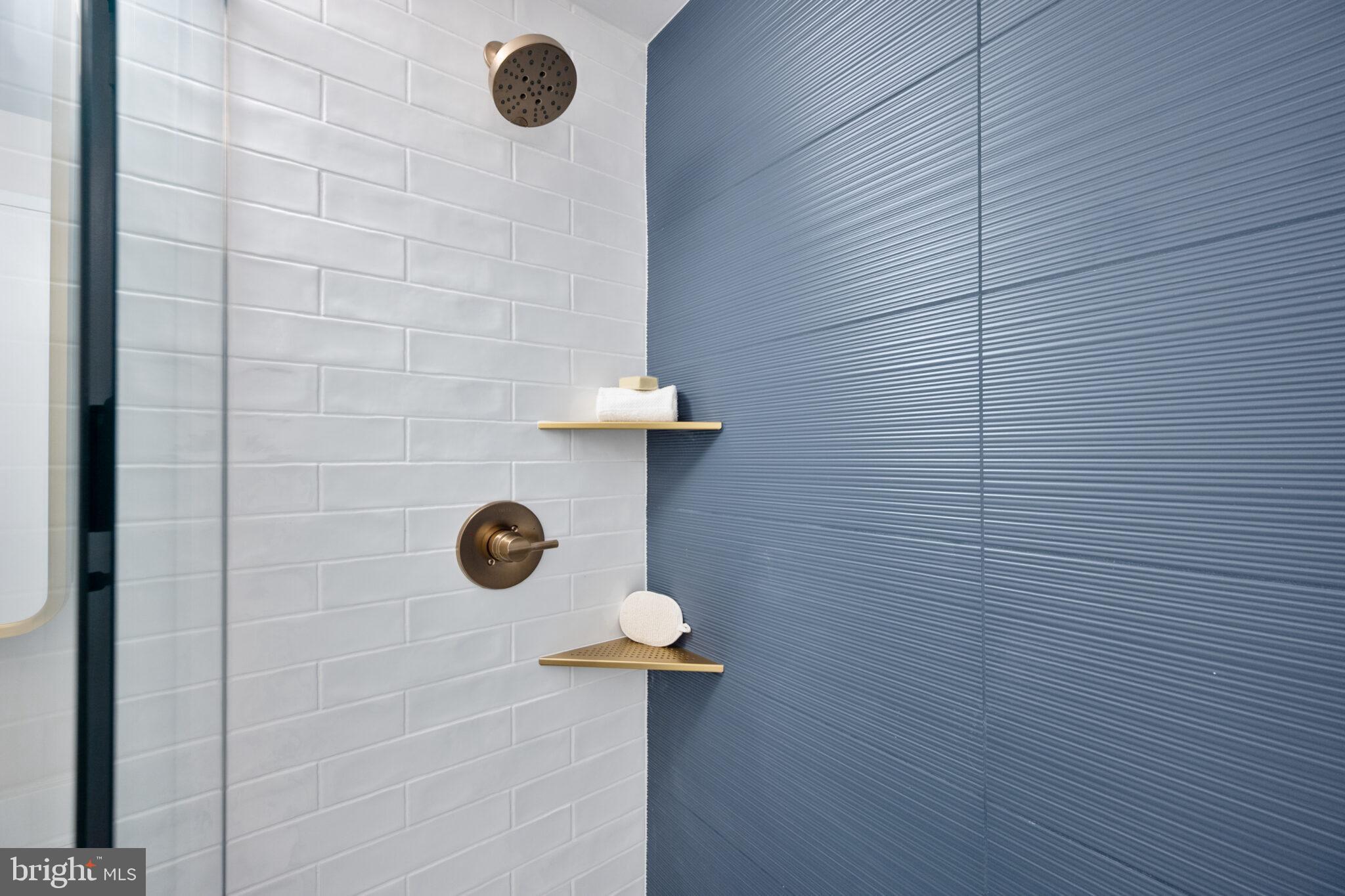 1309 4th Street Southwest, Unit TH9 Washington, DC 20024 - Photo 34 of 63 2nd Floor Bathroom Shower