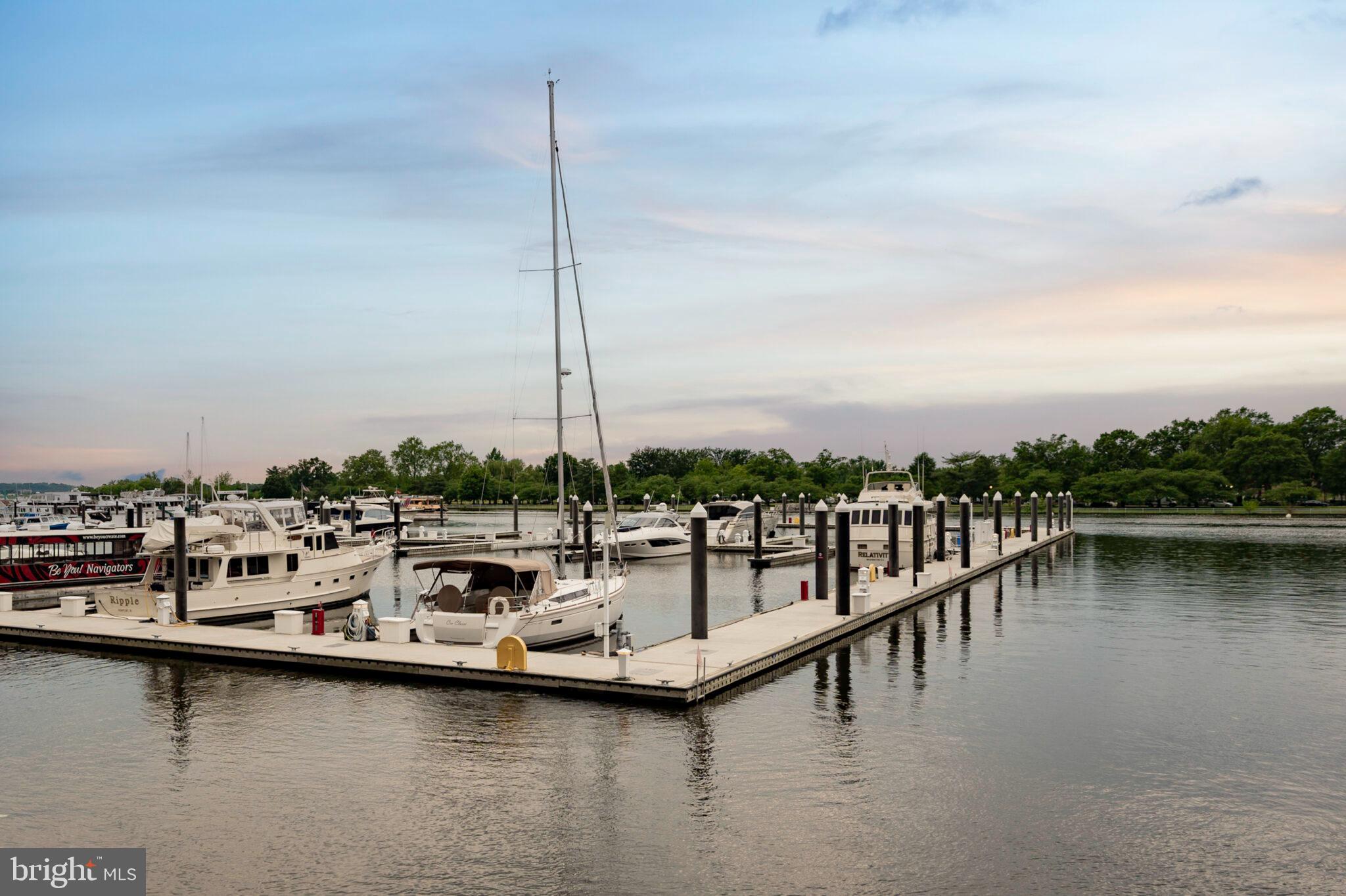 1309 4th Street Southwest, Unit TH9 Washington, DC 20024 - Photo 51 of 63 a view of a lake with chairs