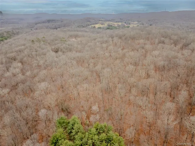 a view of a dry yard