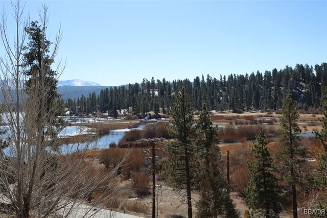 a view of river covered by trees and buildings